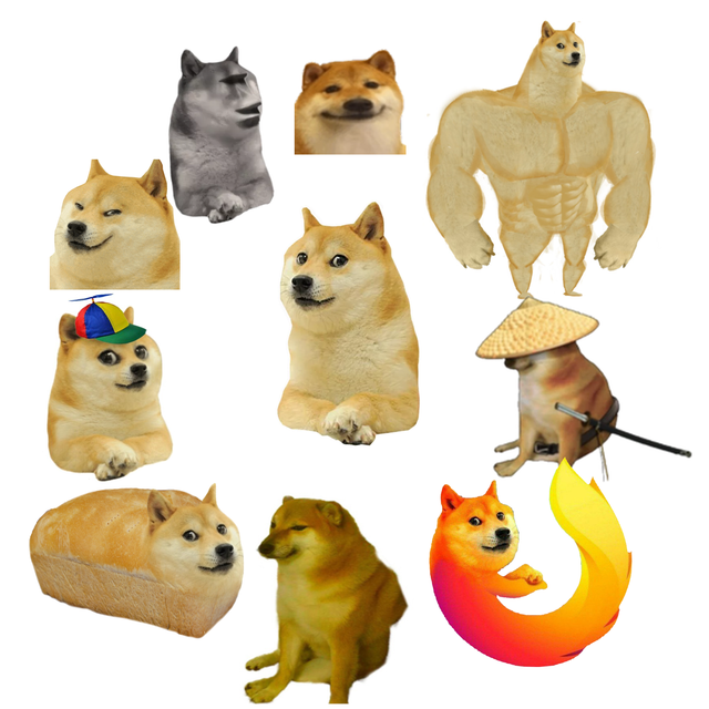 doge